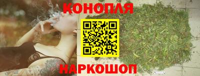 шишки Ипатово