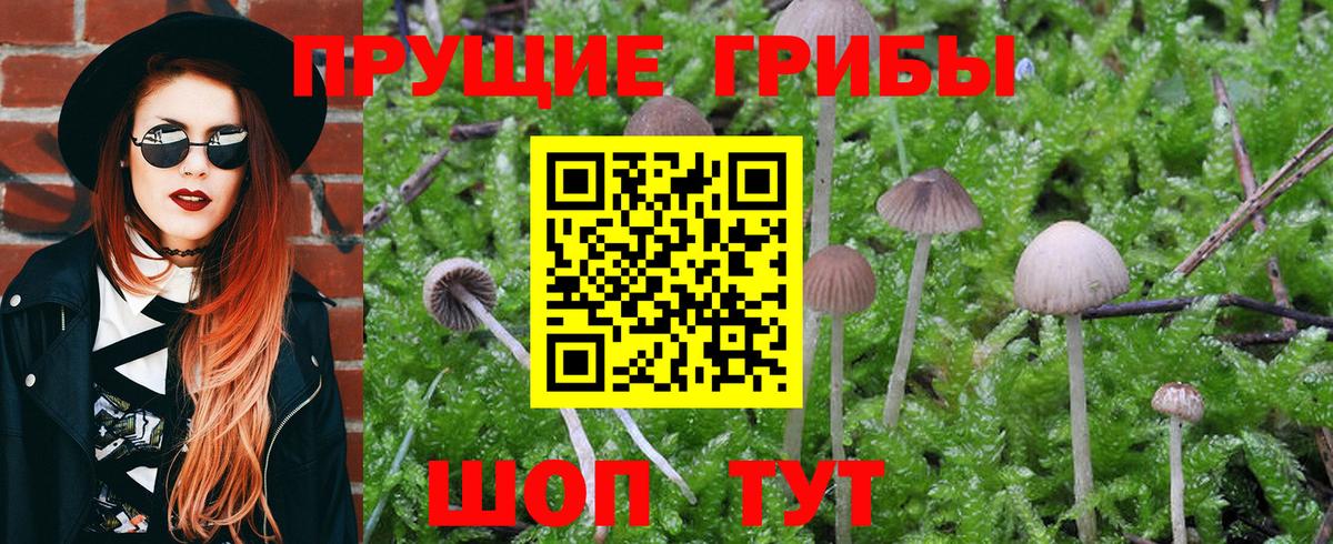 Псилоцибиновые грибы Magic Shrooms  Вход с VPN  Котлас  Галлюциногенные грибы ЛСД 