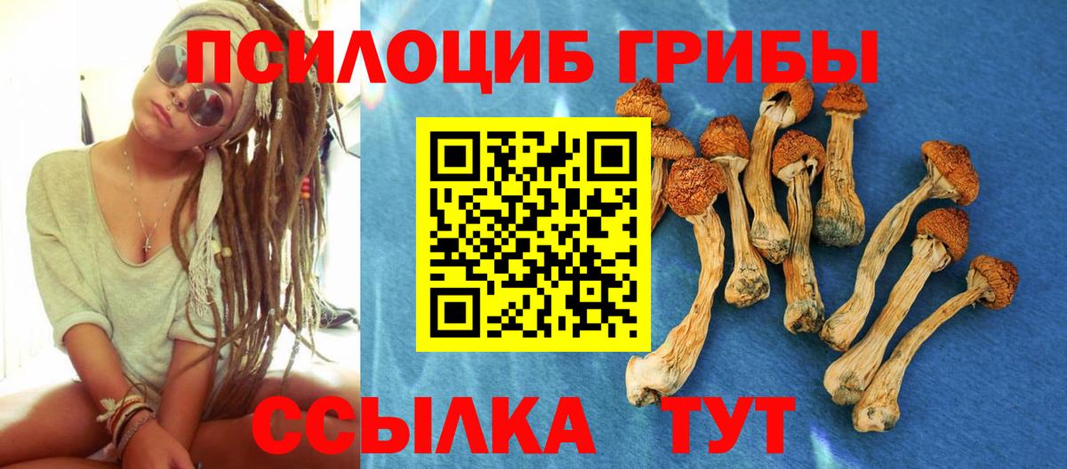 Галлюциногенные грибы Psilocybine cubensis Котлас